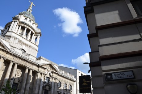 13 - Magpie and Stump (2)